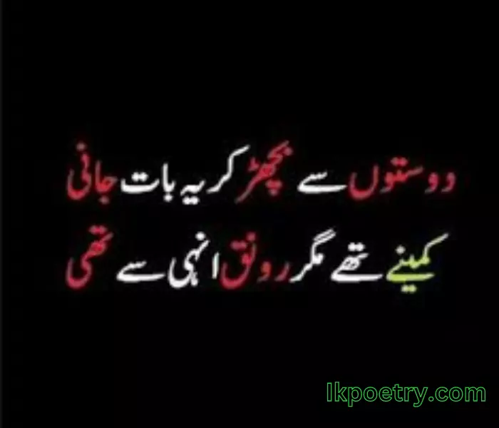 funny poetry in urdu
