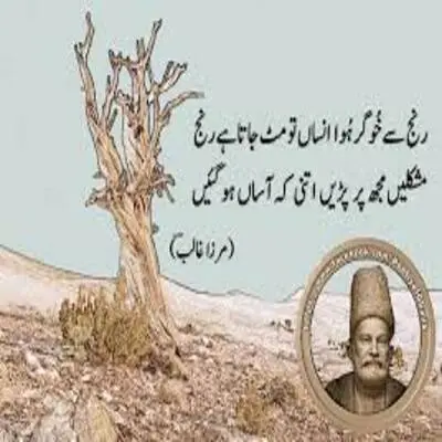 Mirza Ghalib Poetry in Urdu